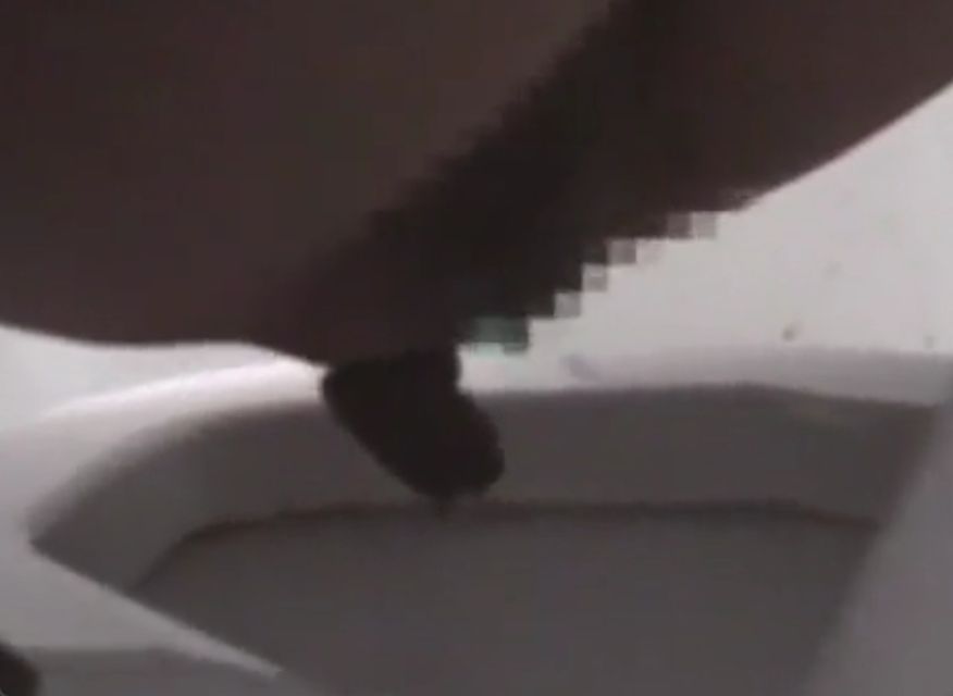 女のウンコを観察する上で和式トイレってマジでかかせないよなｗ